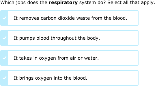 G1 Syllabus